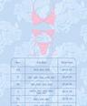 Holy F*ck Panty + Garter