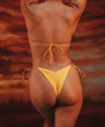 Naos V-Kini Bottom in Yellow
